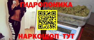 молекула духа Долгопрудный